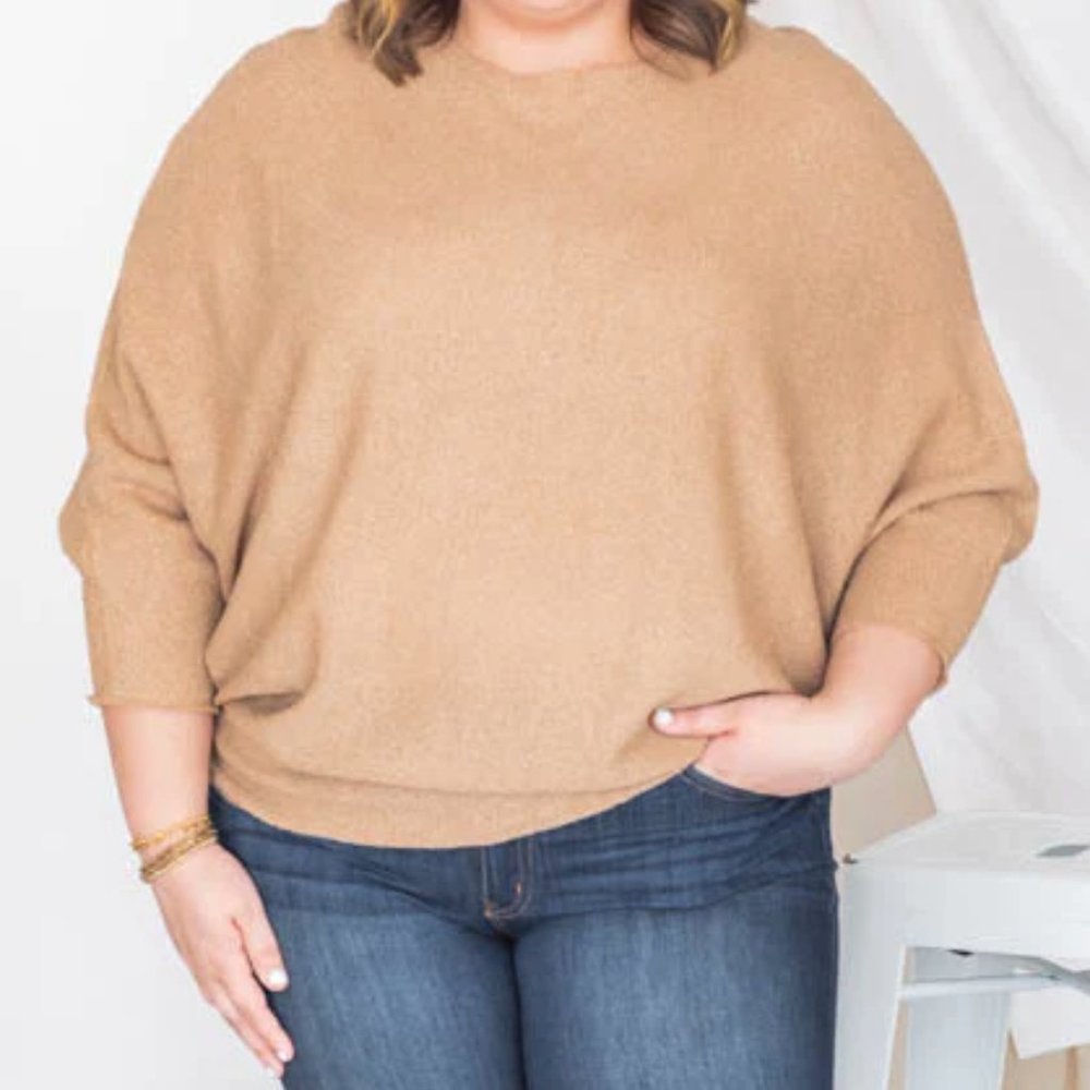 BNWOT Pink Lily Brand Lost Hope Taupe Pullover Knit Sweater